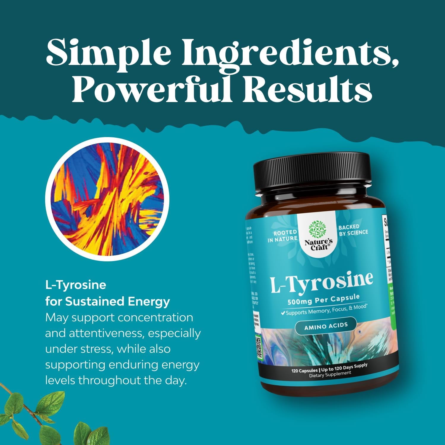 l carnitine l tyrosine Natures Craft 500 mg L-Tyrosine Amino Acid Supplement for Energy and Focus Support, 120 Capsules Size:Pack of 2  16g emagrecer L-Carnitine Orotate