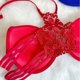thumbnail image 5 of Sujetadores sexys de moda para mujer, lencería push up, bralette sin aros con encaje de mariposa, ropa interior de color sólido, ropa interior suave para mujer, 5 of 5