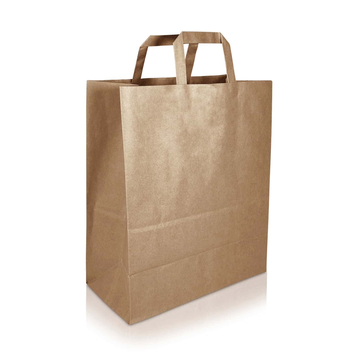 4.3 White Tengcong Kraft Paper Bags Gift Bags with Handles Shopping Durable Reusable Merchandise Retail Bags 25Pcs 12.6 9.8