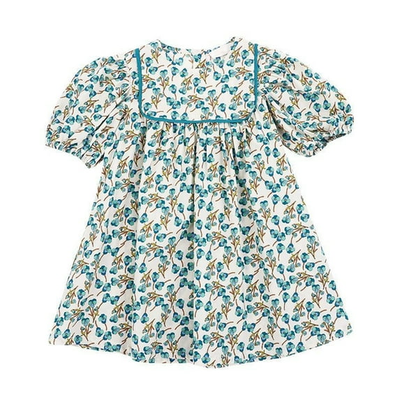 Tbopshirt Baby Girls Dresses,Toddler Girl Dresses,Girls Summer Floral Dresses Bubble Sleeve Skirt Rustic Style Children's Princess Dresses 2-6 Years