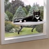 Image thumbnail_image