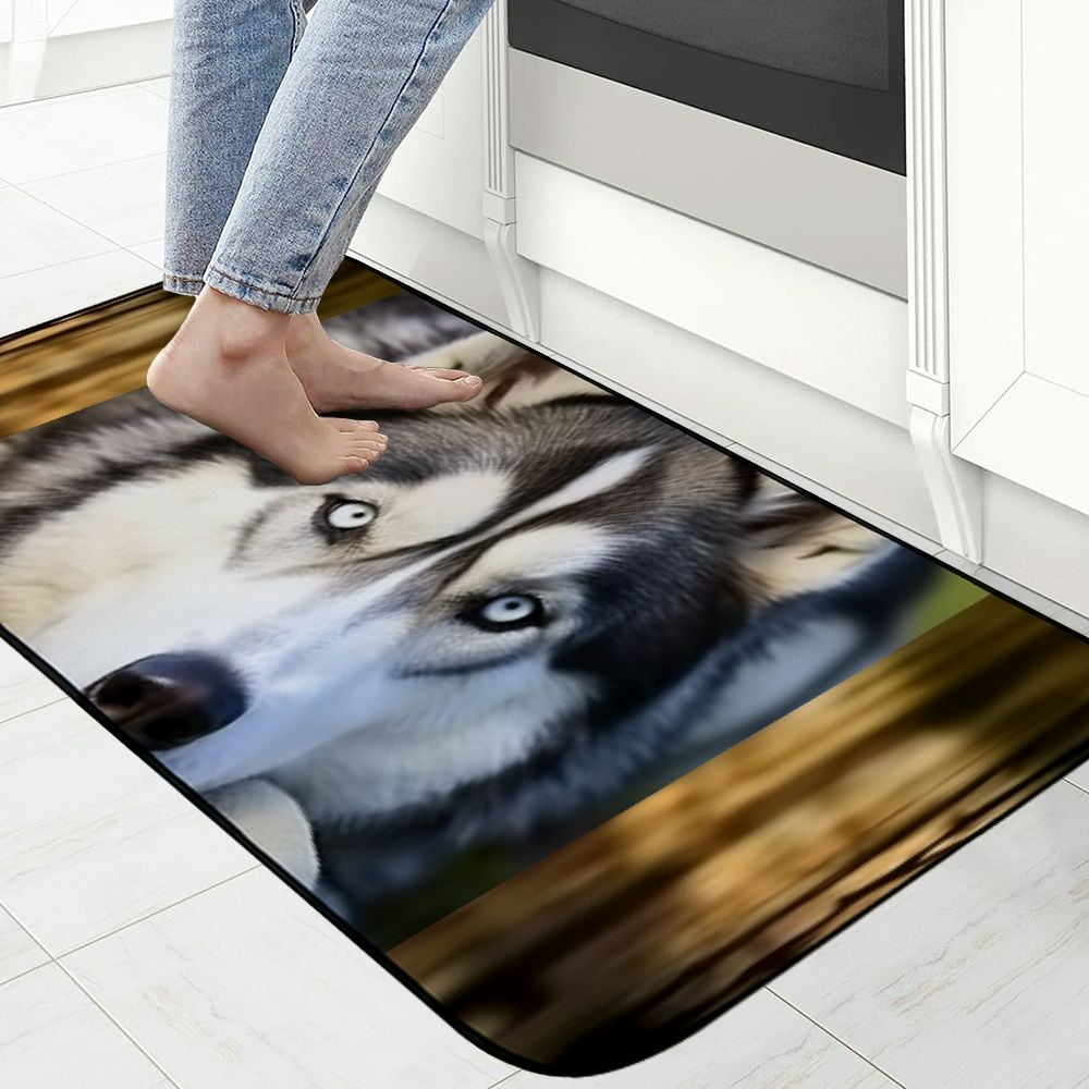 PHYHOO Husky Dog Pattern Door Mat Welcome, Outside Door Mats for Home Entry Floor, Easy to Clean, Patio Doormats 19.68*47.24 in
