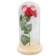 thumbnail image 5 of Cúpula de cristal de rosa, rosa en cúpula de cristal, rosa encantada, regalos románticos, regalo de rosa artificial, muy recomendable, 5 of 14