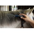 thumbnail image 2 of Peine Oster para crin y cola con mango de goma azul, 2 of 4
