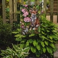thumbnail image 2 of Carolines Treasures CDCO0442GF Fox Waiting in Flowers Flag Garden Size  Small multicolor, 2 of 3