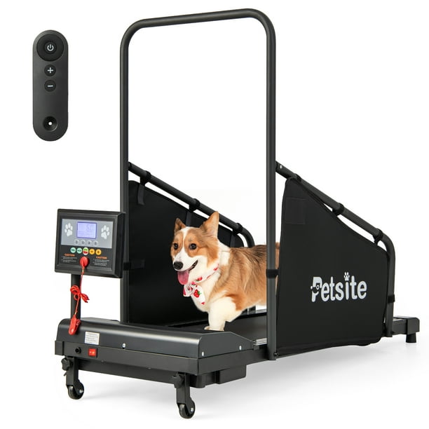 Tapis roulant Costway pour chien de petite/moyenne taille, machine d'entraÃ®nement  pour animaux de compagnie Ã l'intÃ©rieur 