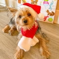 thumbnail image 5 of Capas y sombreros navideños para mascotas, trajes festivos. Los perros se transforman en disfraces navideños., 5 of 5