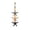Starfish, variant on Lighted Wooden Starfish Coastal Wall Decor, Battery Powered Waterproof LED Nautical Hanging Art for Bathroom Porch Beach House Indoor Covered Outdoor Use