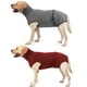thumbnail image 3 of Traje de recuperación para perros con 2 piezas de pañales Recuperación de cirugía de pañales yeacher Camiseta de recuperación, 3 of 8