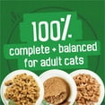 thumbnail image 4 of Friskies Indoor Assorted Variety Pack, Wet Cat Food 24 x 156 g, 4 of 9