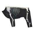 thumbnail image 4 of Disfraz de esqueleto de perro para Halloween, ropa para cachorros y gatitos, para jugar al aire libre y vacaciones. M, 4 of 8