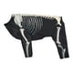 thumbnail image 4 of Disfraz de esqueleto de perro para Halloween, disfraz para mascotas, cómodo, accesorios para sesiones de fotos, genial L, 4 of 9