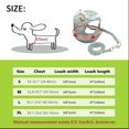 thumbnail image 2 of Lace Dog Harness Leash Set Soft Mesh Pet Puppy Vest Lead For Small Medium Dog, 2 of 5