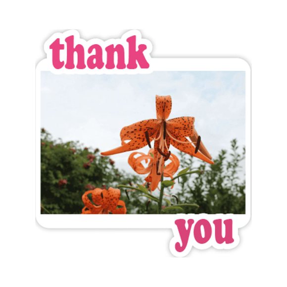 Orange River Lily Art Deco Fashion Thank You Stickers Quote Grateful