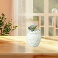 thumbnail image 6 of Plastic Flower Vase, Decorative Vase for Flowers, Small and Cute for Home Living Room Dining Wedding Bouquet Decor (5 inches), 6 of 7
