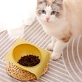 thumbnail image 3 of Cats Bowl - No Spill Non-Skid - 15 Degree Inclined Design - Smooth Edges - Large Capacity Holder - Food Grade Pet Food Feeder Bowl - Pet Supplies, 3 of 8