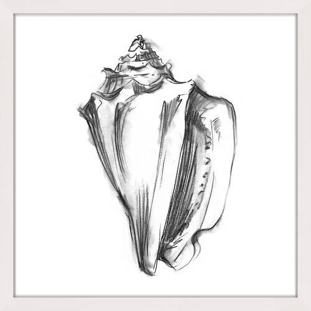 "Shell Sketch I" Framed Painting Print