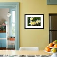 thumbnail image 4 of Plumeria Flowers, Island of Kauai, Hawaii, Botanical Framed Art Print Wall Art by Russ Bishop Sold by Art.Com, 4 of 5