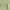 Green, variant on 2024 Women Suede Clogs Mules Garden Loafer Shoes Memory Foam Slipper Casual  Sneakers Comfortable Slip on Sandals Anti-Slip Backless Home Office Walking Shoes