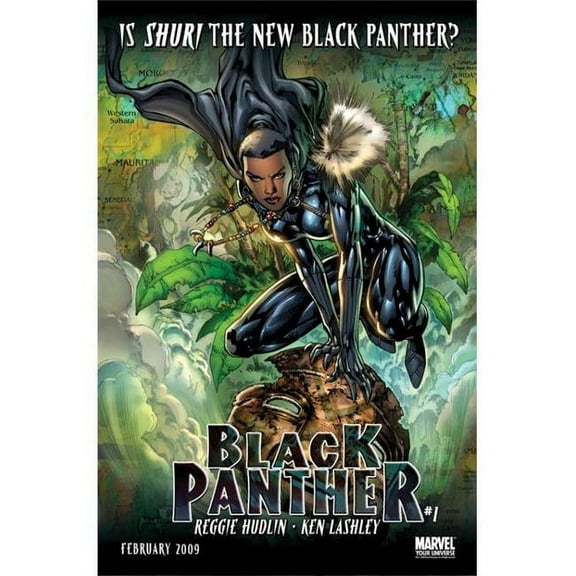 Pop Culture Graphics Black Panther, Tv Movie Poster Print, 27 x 40