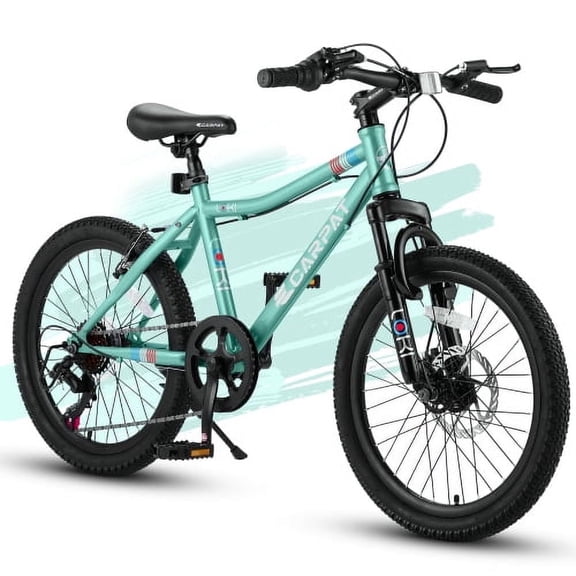 RAISTYW 20 inch Kids' Bike, Boys Mountain Bike for Ages 8-12, 7 Speed Teenager Bicycles with Front Suspension ,V-Brake, Green