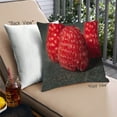 thumbnail image 1 of Ahgly Company Coussin d'Extérieur Framboise, 18 Pouces par 18 Pouces, 1 of 6