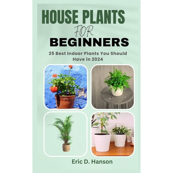 House Plants for Beginners: 25 Best Indoor Plants You Should Have in 2024, (Paperback)