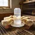 thumbnail image 5 of Large Capacity Quail Water Feeder, for Cage, Automatic Water Supply Designs, Baby Chick Waterer, Ideal Feeders for Baby Bird B, 5 of 6