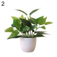 thumbnail image 4 of D-GROEE Faux Plants Potted, Artificial Plants in Pot Fake Green Plant Bonsai with White Round Pot for Office, Home, Kitchen, Table Indoor Decor, 4 of 6