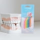 thumbnail image 2 of 5 cepillos interdentales en forma de L, cepillos de dientes con mango largo, hilo dental, palillo interdental en ángulo., 2 of 7
