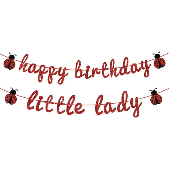 Ladybug Theme Happy Birthday Little Lady Banner - Girl's Baby Shower/Birthday Party Backdrops- Baby's 1st/2nd/3rd Barthday Decorations Supplies for Girl