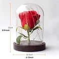 thumbnail image 4 of RisingPro Rose Beauty LED Light Up Light Enchanted Flower Glass Dome Wedding Party Gift, 4 of 5