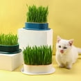 thumbnail image 3 of Cat Wheat Seedling Planter Hydroponic for Indoor Cats Soilless, 3 of 3