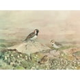 thumbnail image 2 of Sutton, George 24x19 White Modern Wood Framed Museum Art Print Titled - Gathering, 2 of 4