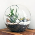 thumbnail image 4 of Chic Transparent Glass Terrarium for Home and Office Use 9Pcs, 4 of 8