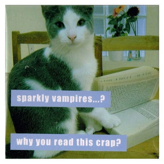 I Can Has Cheezburger 'Sparkly Vampires' Large Magnet / Favor (1ct)