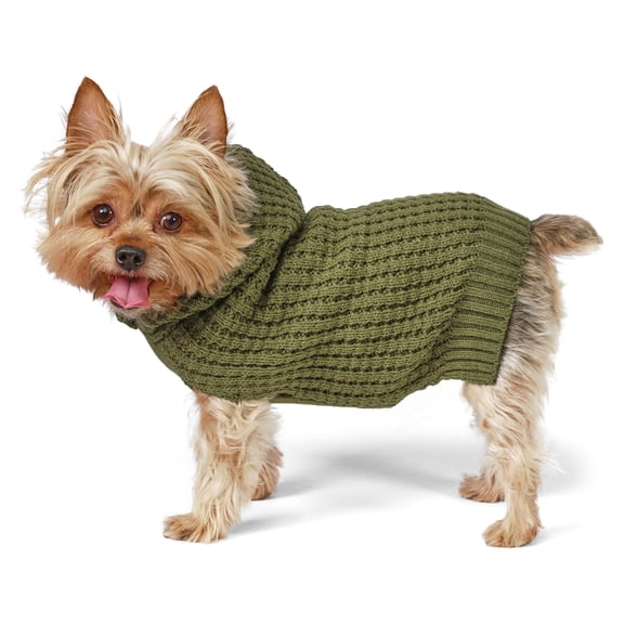 Vibrant Life Waffle Knit Sweater for Dogs and Cats, Green, XS