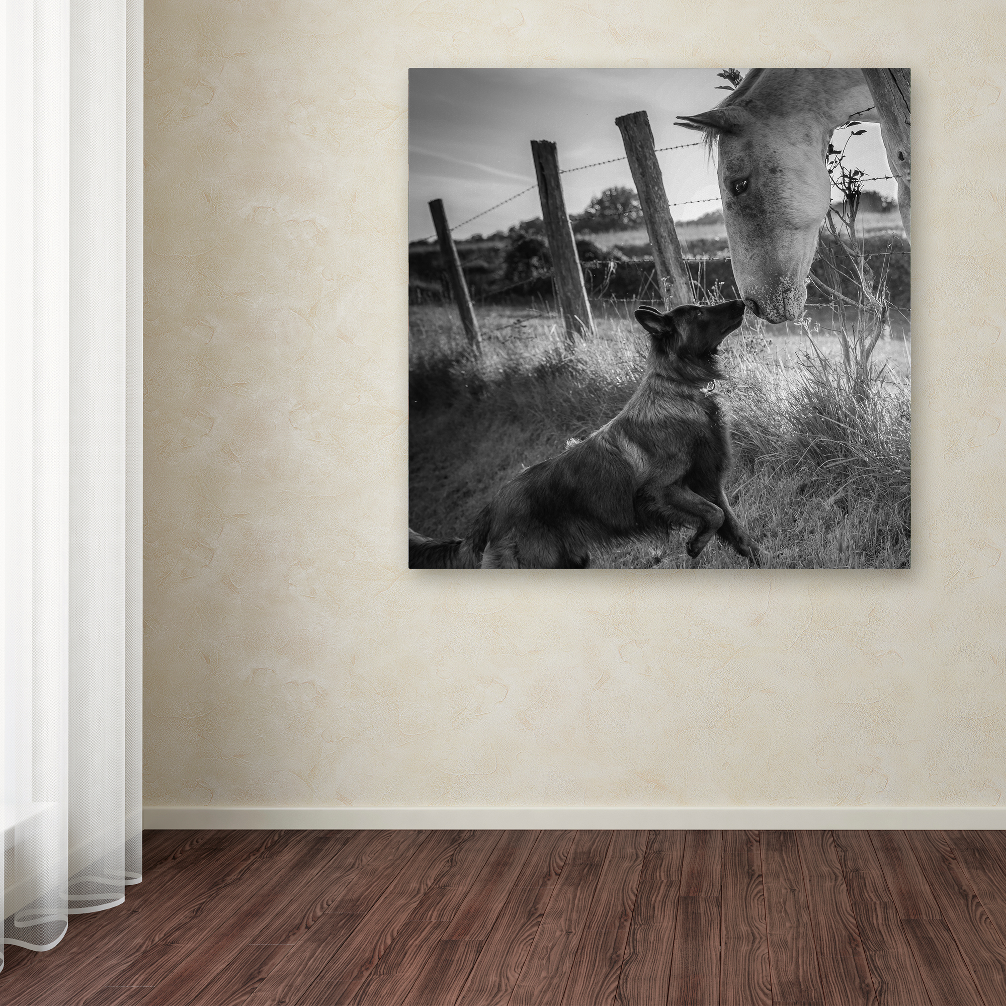 Trademark Fine Art 'Friend'S Kiss' Canvas Art by Christophe