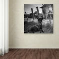 thumbnail image 3 of Trademark Fine Art 'Friend'S Kiss' Canvas Art by Christophe, 3 of 3