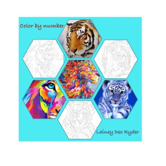 Color By Numbers, (Paperback)