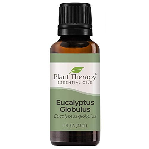 Plant Therapy Eucalyptus Globulus Essential Oil 30 mL (1 oz) 100% Pure, Undiluted, Therapeutic Grade