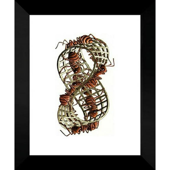 FrameToWall - Mobius Band 20x24 Framed Art Print by M.C. Escher