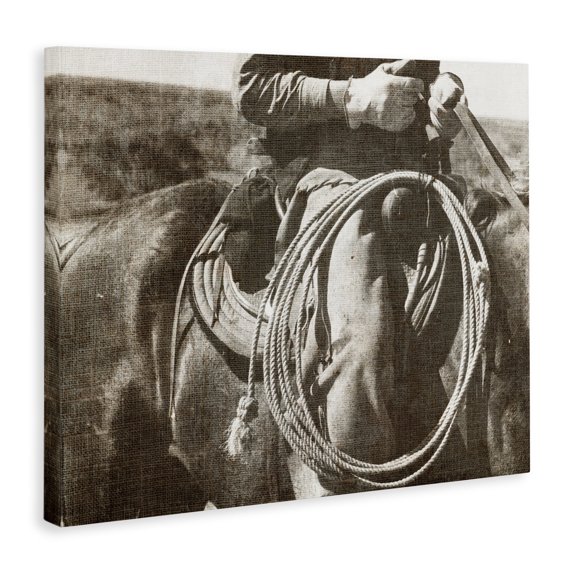 Stupell Industries Cowboy with Lasso Novelty Photography Gallery Wrapped Canvas Art Print Wall Art, 20 x 16
