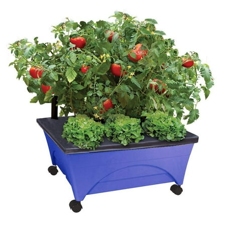 City Picker Raised Bed Grow Box – Self Watering and Improved Aeration – Mobile Unit with Casters - Cobalt