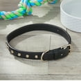 thumbnail image 4 of Vibrant Life Studded Leather Fashion Dog Collar, Black, Large, 4 of 9