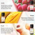 thumbnail image 6 of EUQEE 6Pcs Fruit Fragrance Oils Gift - Strawberry, Cherry, Litchi, Apple, Mango, Peach - Essential Oils for Candle Making, Diffuser, Diy, 6 of 7