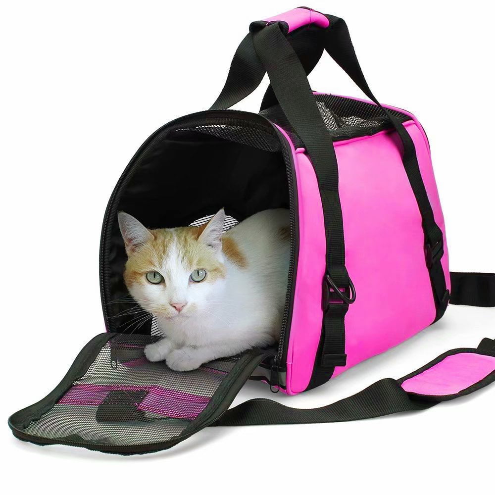 small cat carrier travel