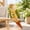 Yellow, variant on Waste Pocket Bird Flight Wear for Outdoor Use, Flexible Diaper Outfit Fit Conure Budgie Cockatiel Peachface Parakeet Parrot