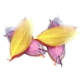 thumbnail image 1 of jifeng Delicate Looking Skeleton Leaves Embellishments - Multi Colors Mix- 100pcs - for, 1 of 8