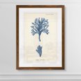 thumbnail image 2 of Wexford Home Antique Coral in Navy IV-Framed Print - Maple - 16X22, 2 of 4